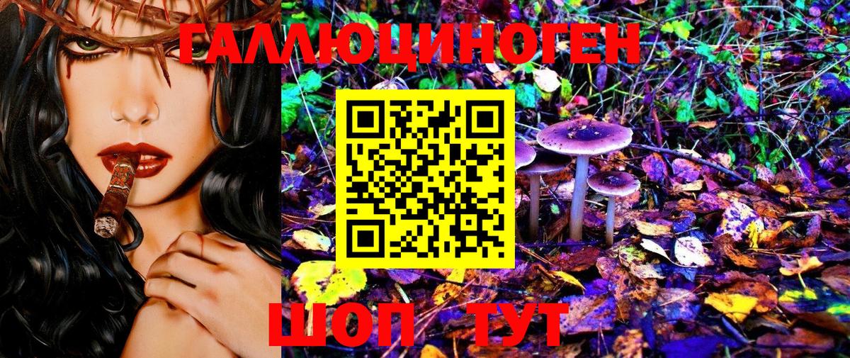 Псилоцибиновые грибы Cubensis Нижнеудинск