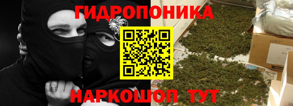 Бошки марихуана AK-47  Вход с VPN  Канабис тримм  Бошки Шишки планчик  Нижнеудинск 
